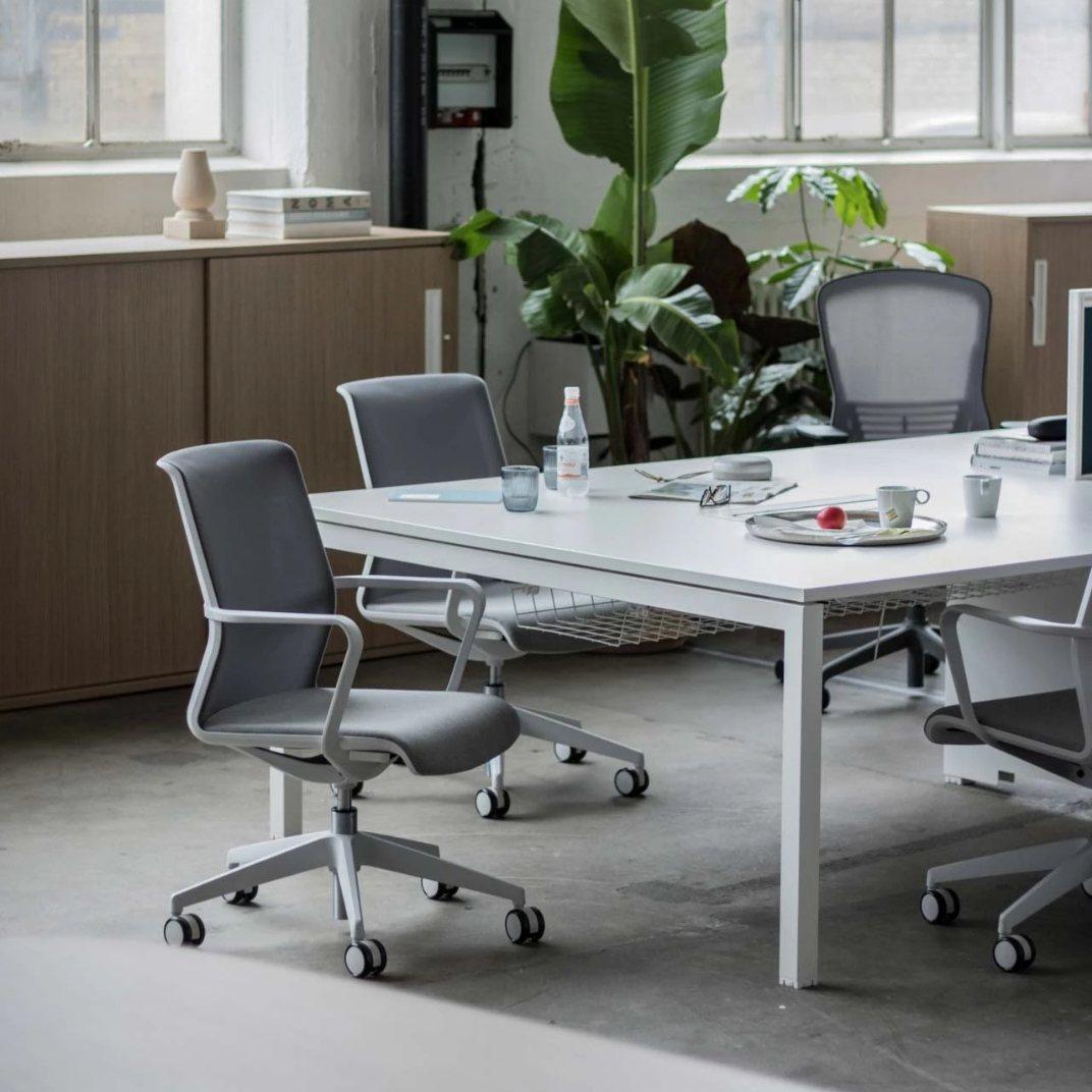 6 Chemistry Back to Back - Various Sizes Available