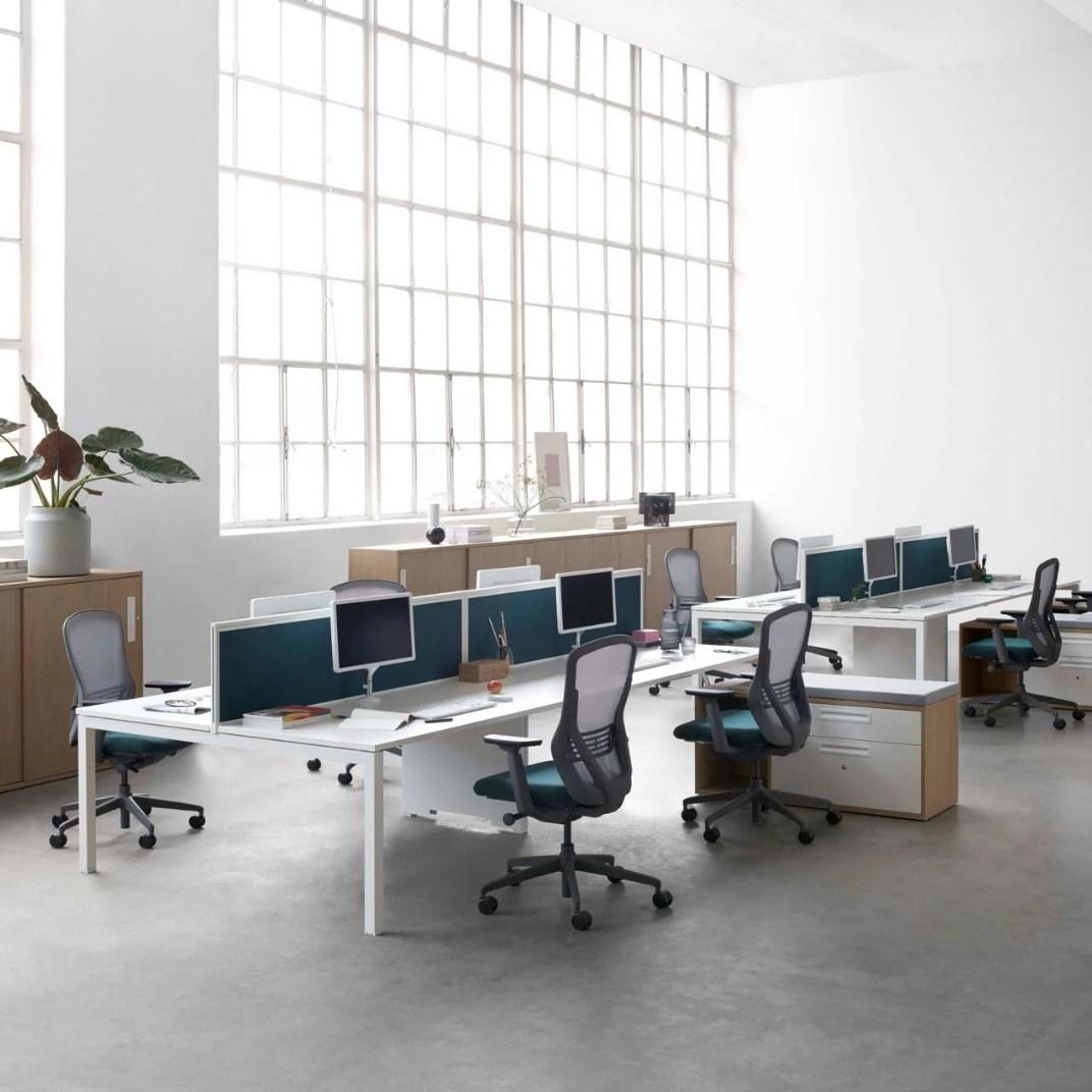 6 Chemistry Back to Back - Various Sizes Available